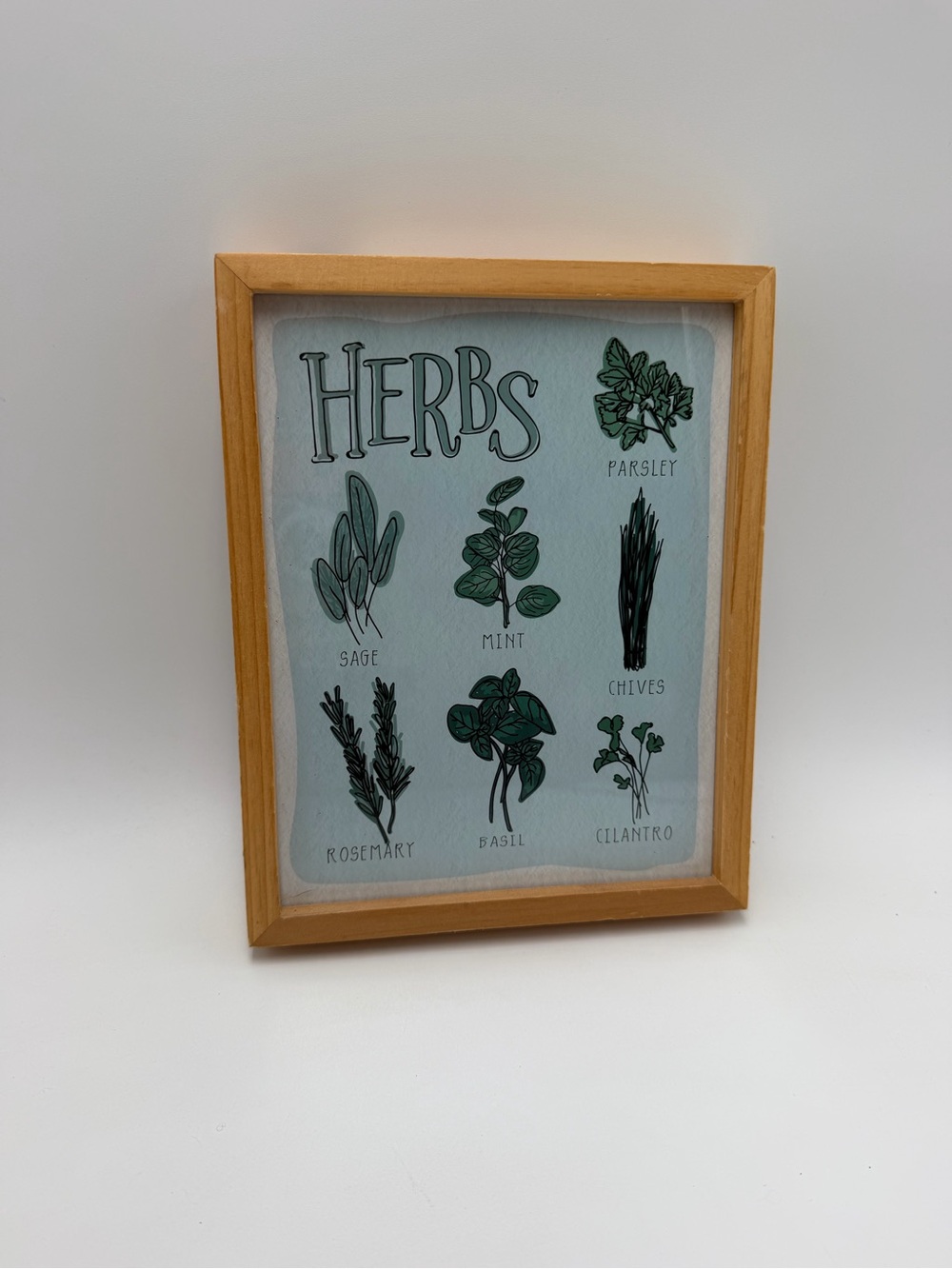 Herbs Framed Glass Wall Art 10x8 Kitchen Botanical Print Sage Mint Decor